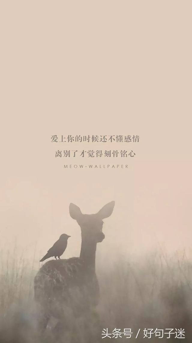 朋友圈负能量爆棚的经典语录,现实又很扎心的句子