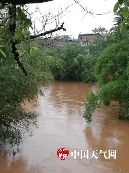 四川遭遇暴雨 多地出现灾情