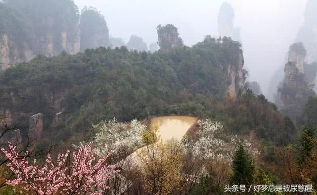 全球最险的一块空中稻田就在中国 位于2000米山峰之巅