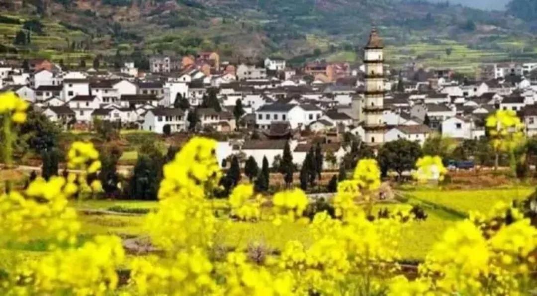 惊艳！杭州这条世界级黄金旅游铁路线即将开通！一路看遍国家级风