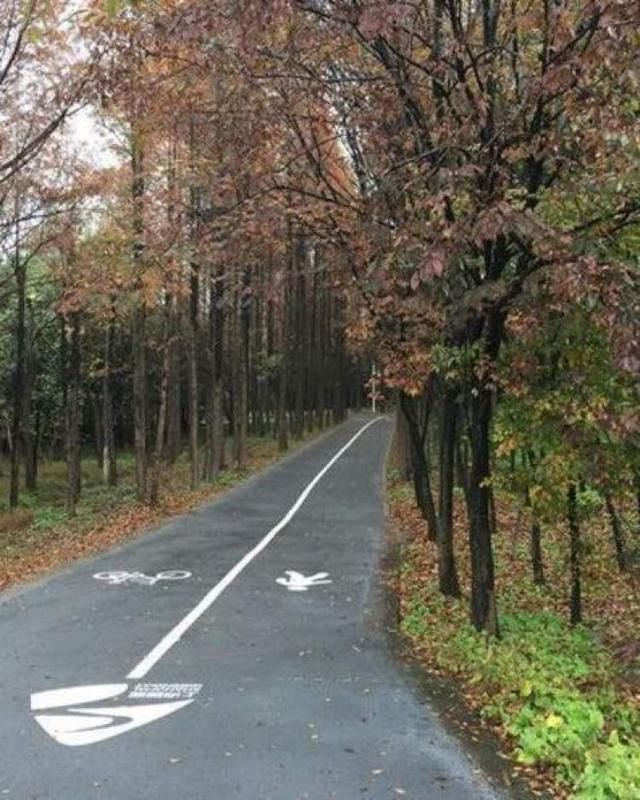 魔都又要多一个郊野公园啦，松南郊野公园今年计划开园！