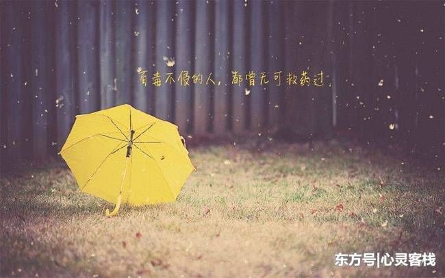 女人一生会遭遇七个情敌,相信绝大数女人都遇到过