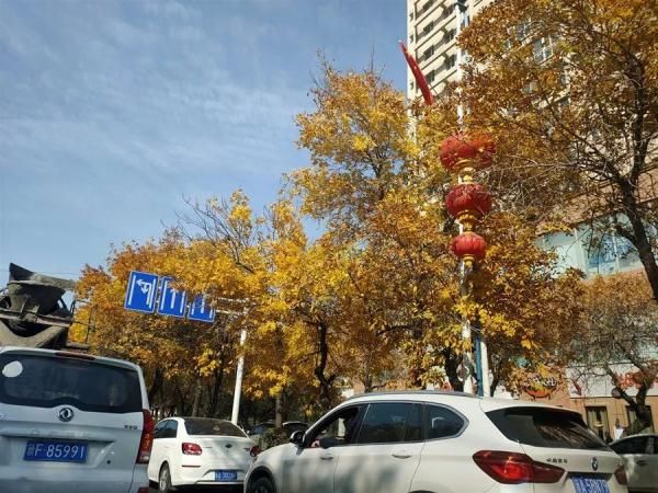 乌鲁木齐居住证