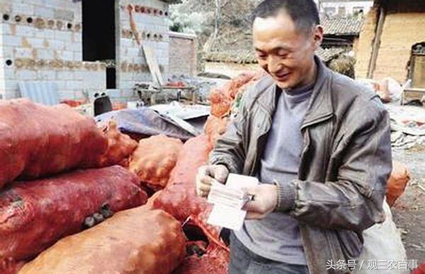 农村富起来的都是哪些农民?