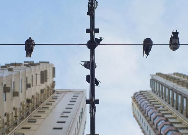 股价连涨三天超12% 中海地产市值首破3000亿