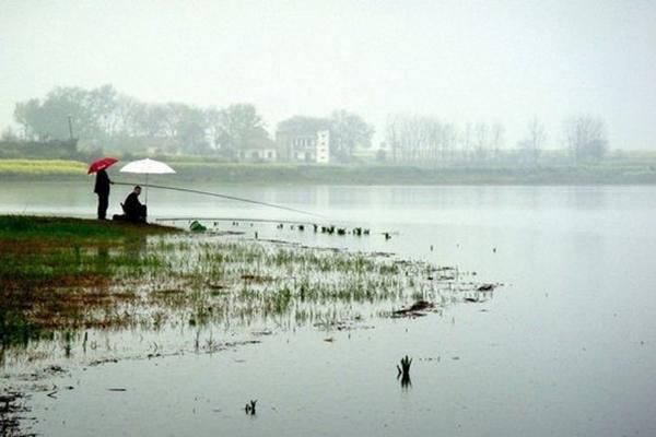 夏季钓鲤鱼老扑空，原来钓位没选对，后悔以前不知道