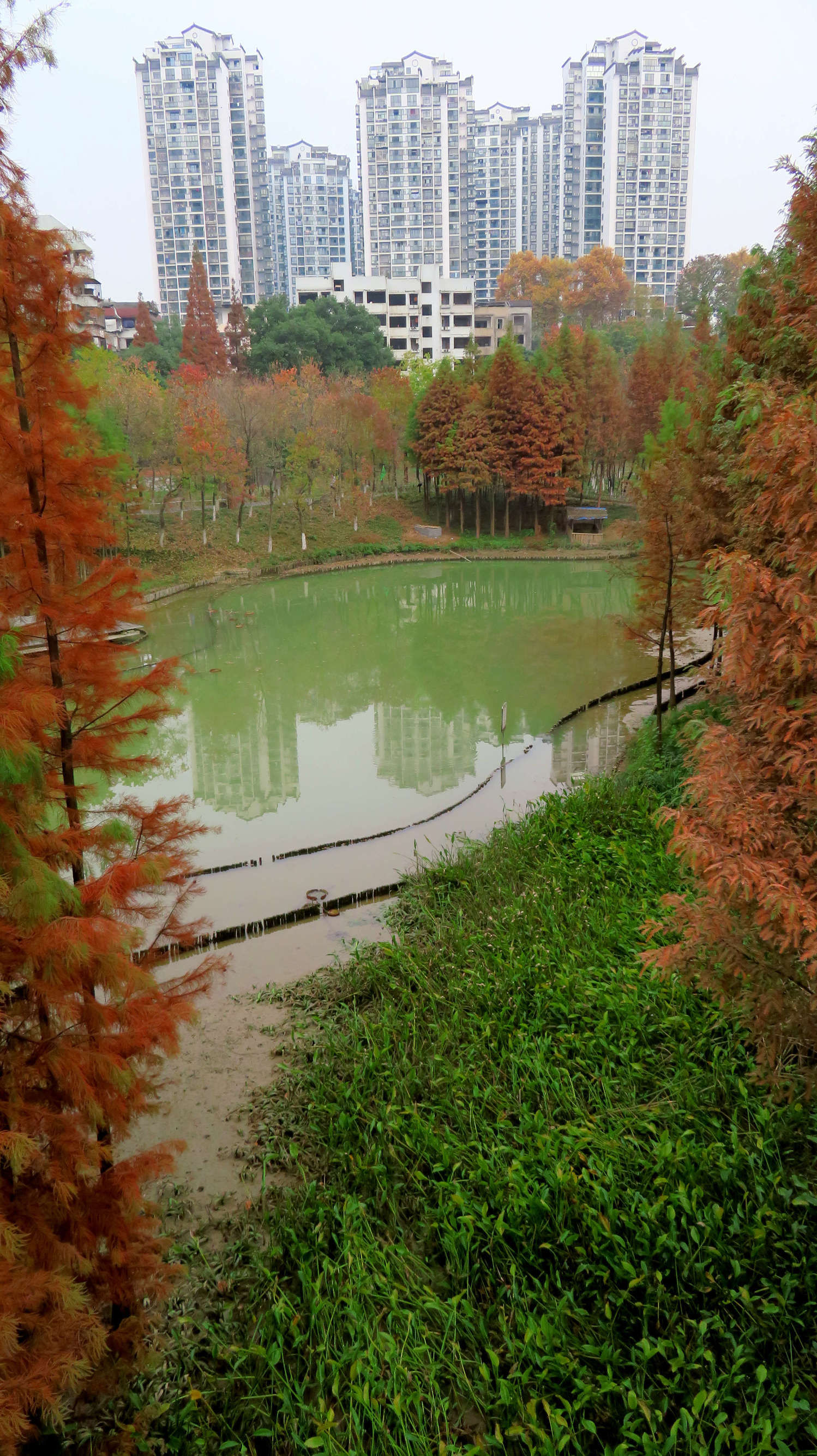 湖北宜昌最美的公园?这个公园冬季景观美如画