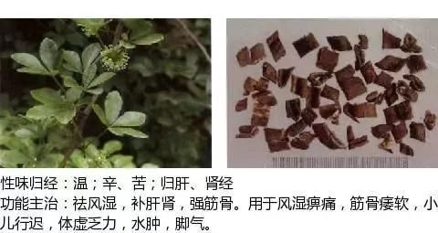 t0181a451a3875add91.jpg