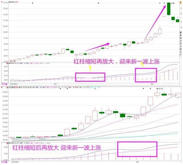 一位股市天才的投资感悟：MACD战法，再忙也得花几分钟学习