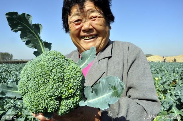 大年初五 送咱农民五个福