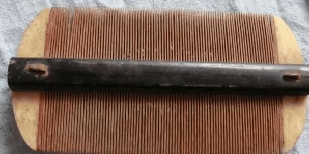 以前农村孩子头上长的虱子, 还会吸血, 现在都