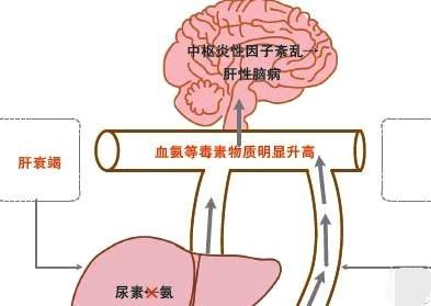 t0182a052bcd664d052.jpg