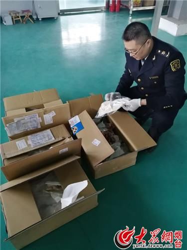 危险！烟台截获37公斤日本邮寄入境带血冰鲜河鲀