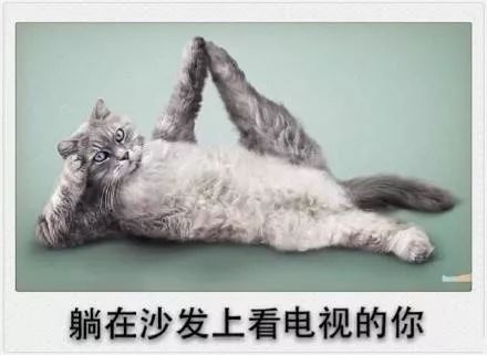你的剩余假期被雨水承包了!还有一件扎心的事……