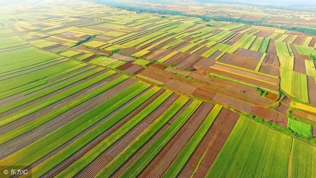 紧急通知!应对极端天气,青岛市全面开展农业生