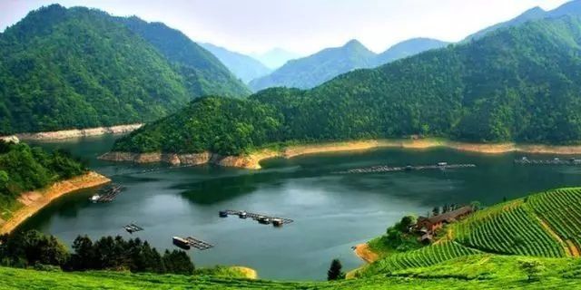 湖南省安化县:黑茶铺就脱贫路