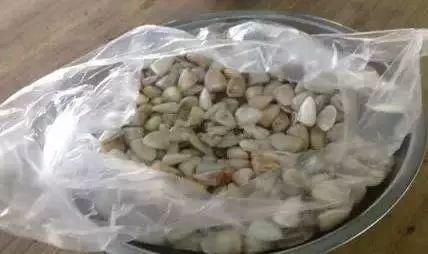 给在三亚过年的哈尔滨人,据说这些是当地人最爱的特色美食!