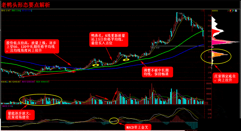 全国炒股大赛冠军讲解黑马股诀窍，简单实用，稳赚不亏，快速收藏