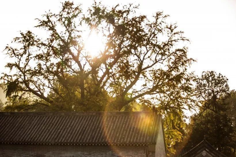 河南洛阳宜阳灵山寺风景图片