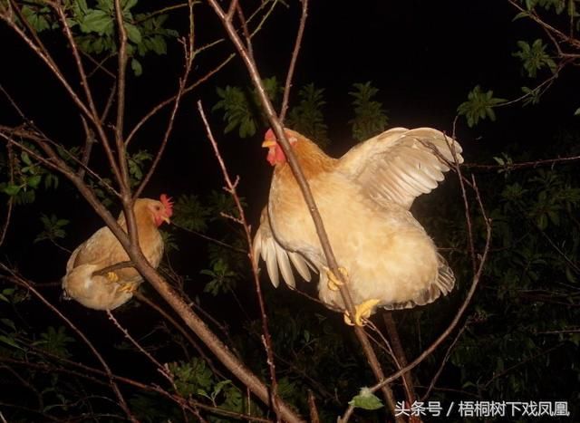 清雍正年间大地震，一户人家全部遇难，但姿势如生，尸体僵而不腐