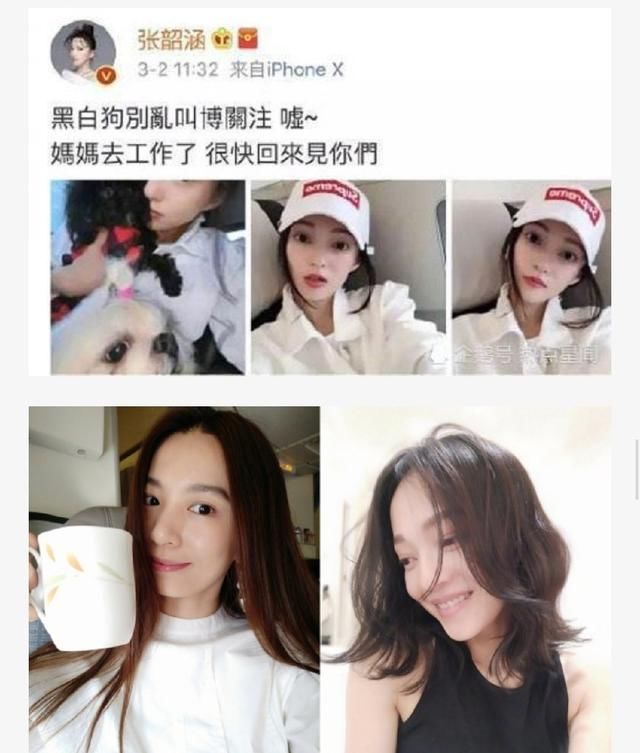 撕完范玮琪撕Habe,张韶涵发文:我凭什么忍你,网友:专业碰瓷!
