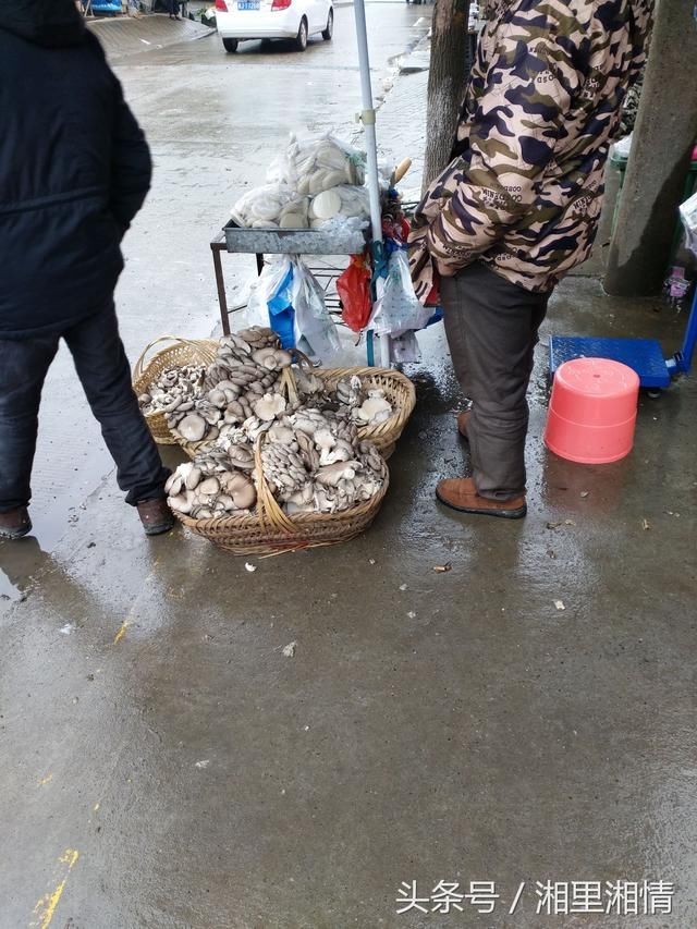 农村集市上，原本大受欢迎的农作物，几天时间竟成烫手山芋