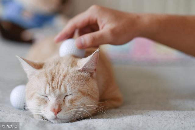 福彩3D18166期:只要心态好,迟早会中奖!