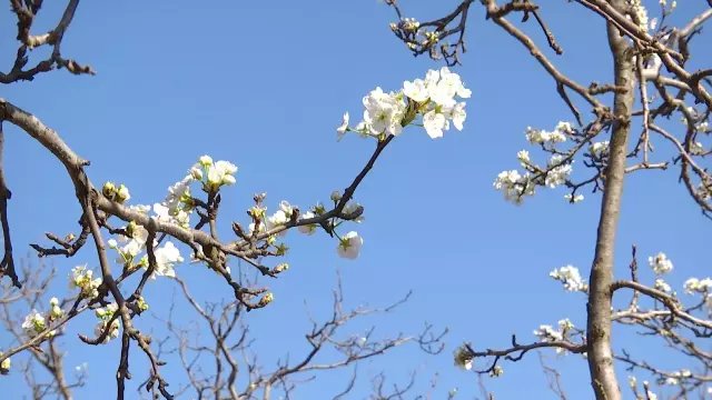 昆明:分阶段、分时限、分步骤,确保2020年创建