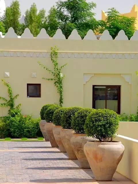 景观设计师你会玩“球”吗?