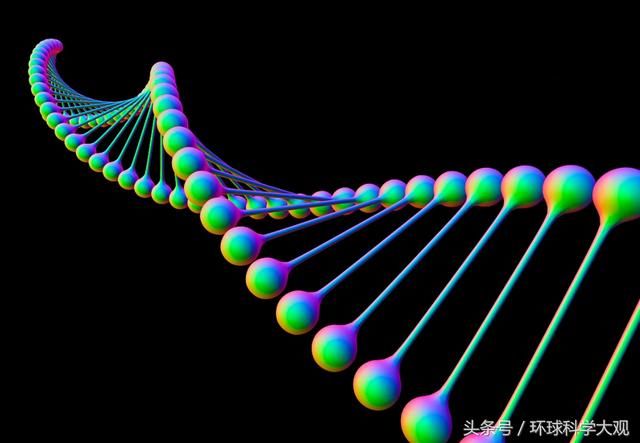 太空是天堂还是地狱？宇航员脊椎拉长5cm，7%DNA发生永久性变异！