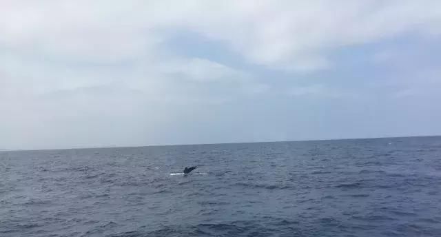 如果旅行是毒药，那姐妹淘就是我的解药！