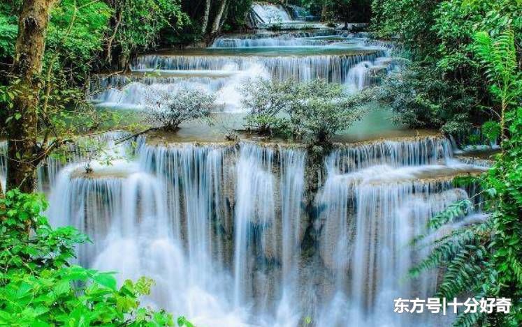 红梅报喜，瑞雪迎春，恭喜3生肖，春节后财源滚滚，好运连连！