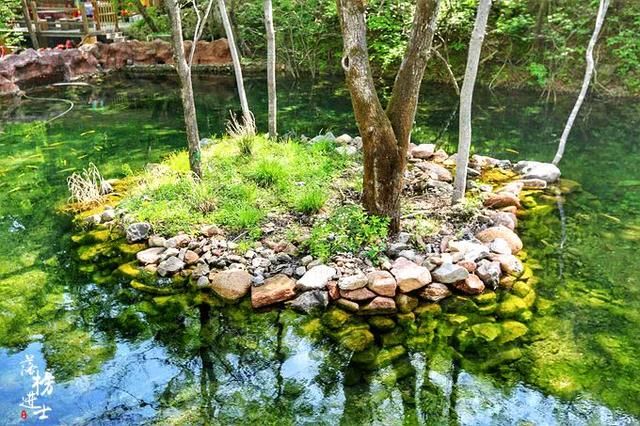 我国这个景点以苔藓众多闻名，很像日本的西芳寺，游客多为日本人