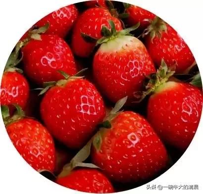 兰州新区农投示范园欢迎您来静度莓好时光!