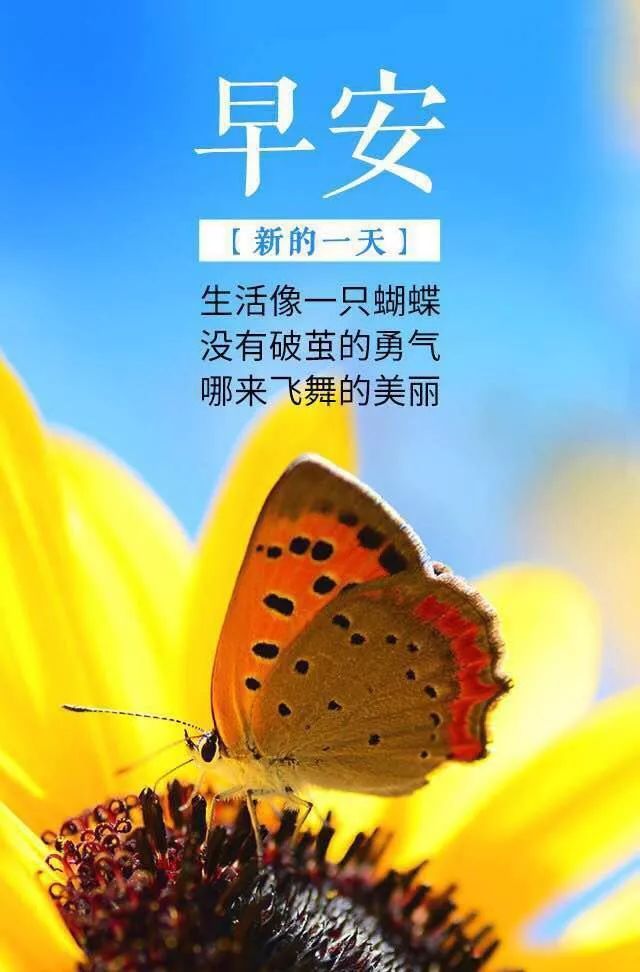 早安心语正能量12月励志感悟哲理语句 早上好