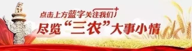 七省份农民有喜讯！国家支持这样联合赚钱，资金扶持名额专门给你