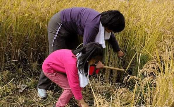 继母照顾继女十年, 有钱生母上门相认, 继女选择让继母瘫坐在地