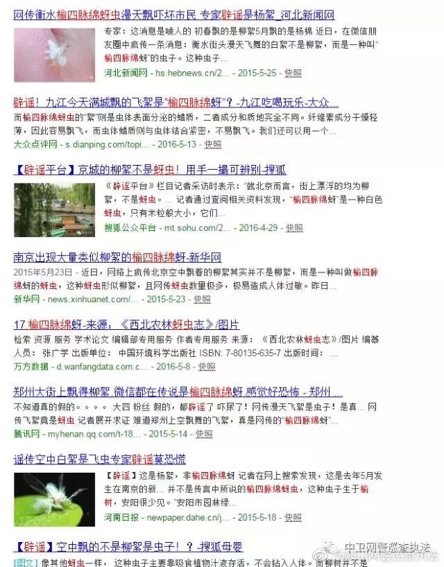 辟谣：网传满天飞的絮状物暗藏“榆四脉绵蚜”？系谣言