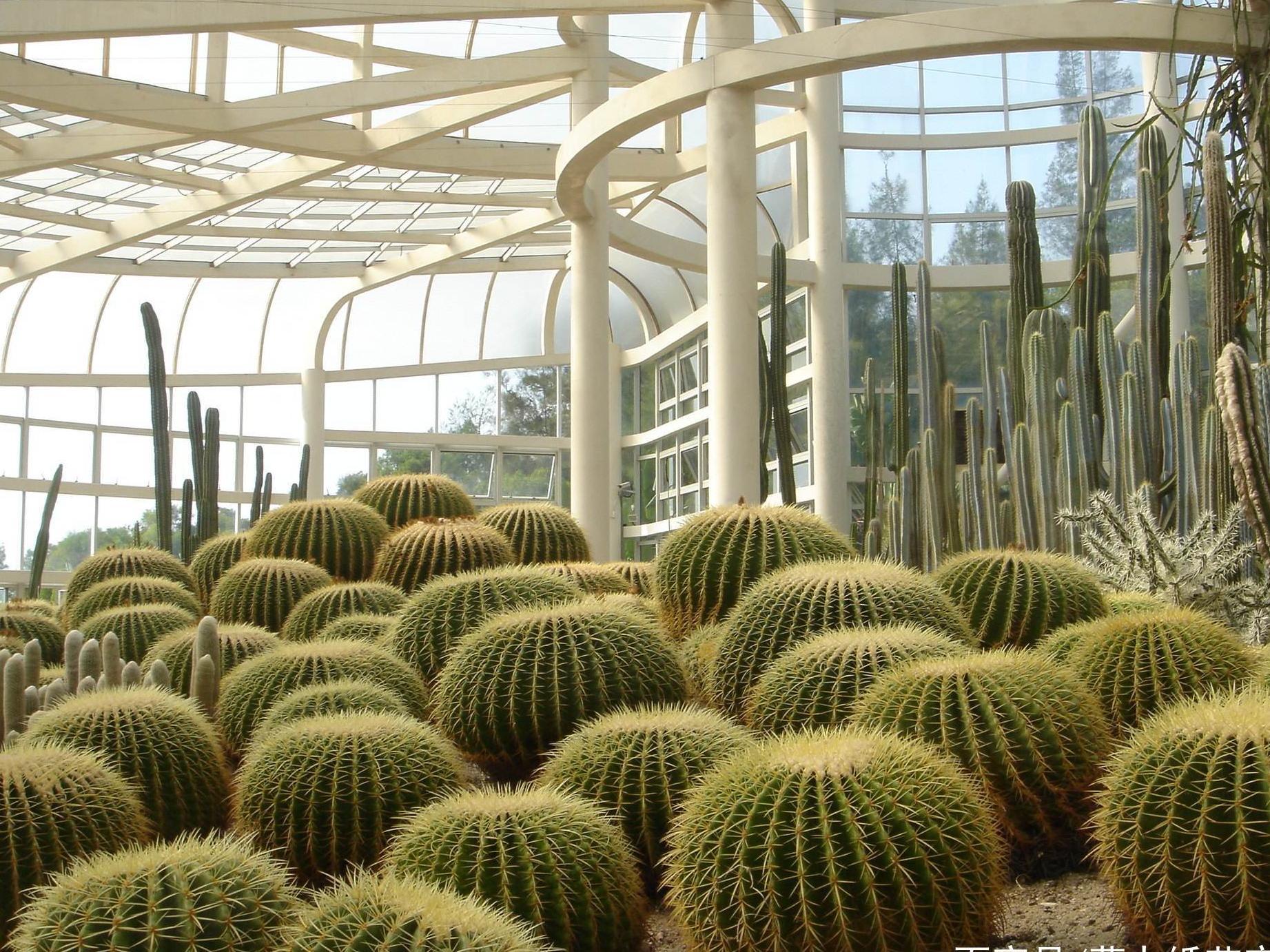 厦门最值得去的几个地方,快来看一看!