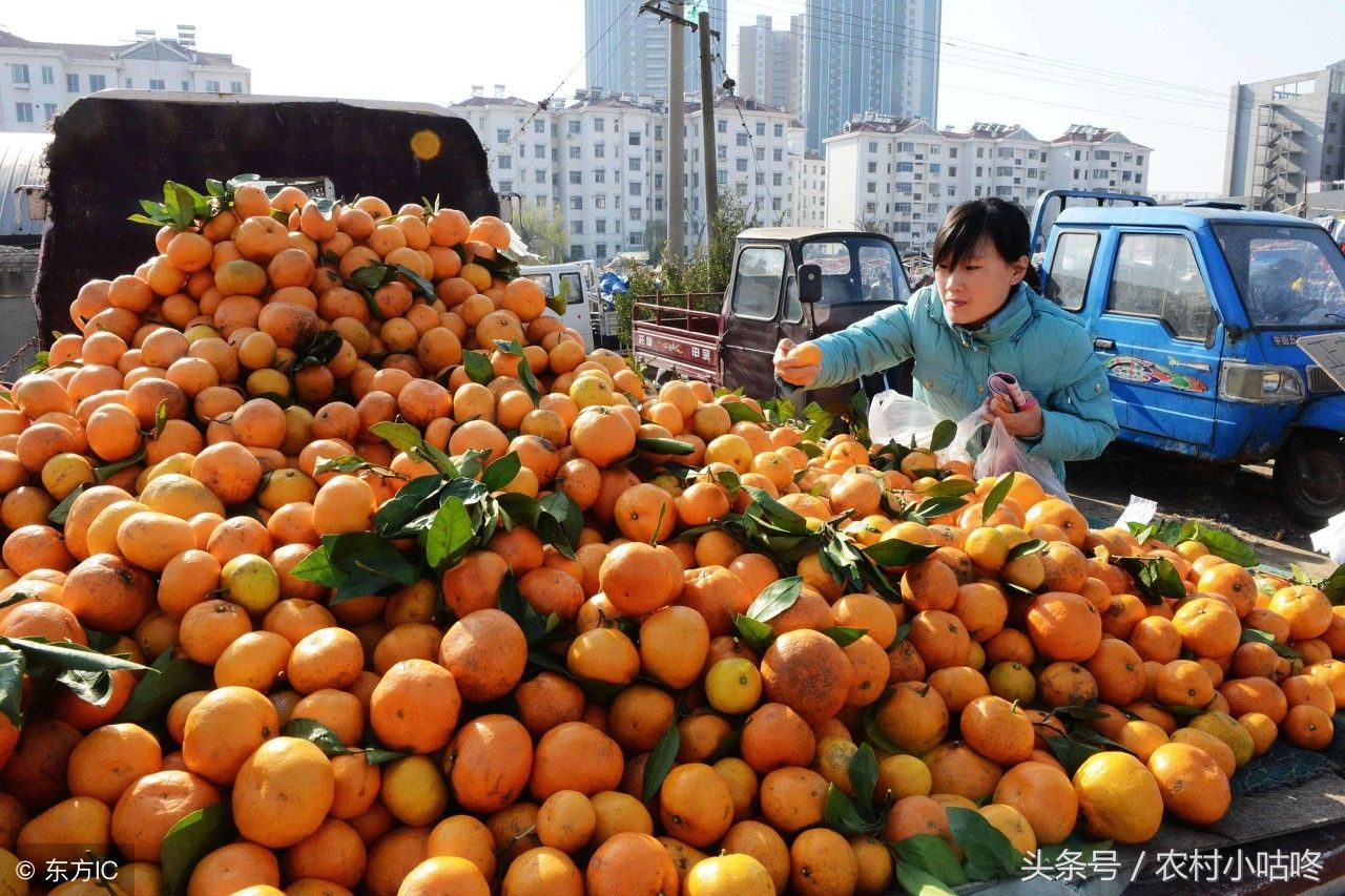 农村大集卖的这种东西，估计城市人没见过制作过程但是吃过!