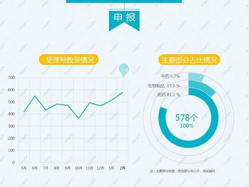 2018年2月CDE药品审评报告