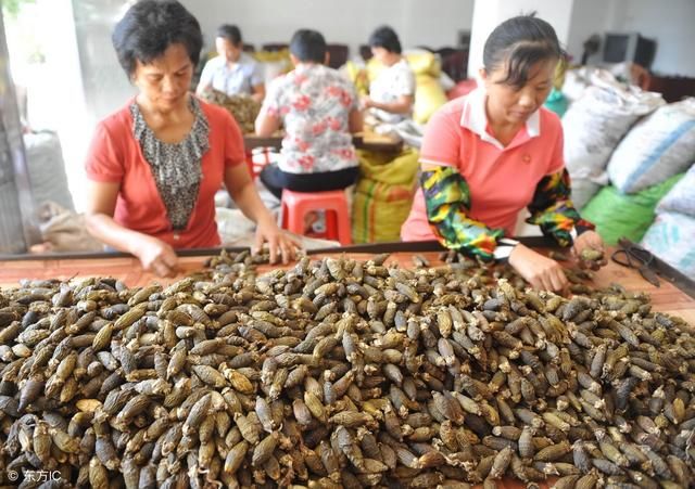 央视报道：此物为一级致癌物！很多人还在当零食吃