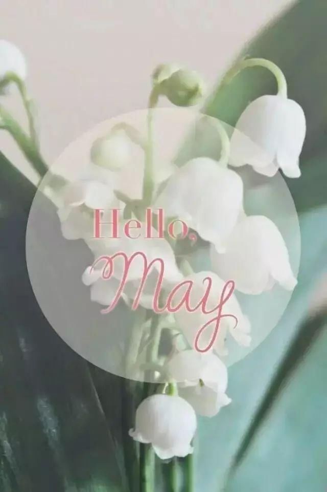 5月你好!一曲《遇见》太美太好听了,送给你!