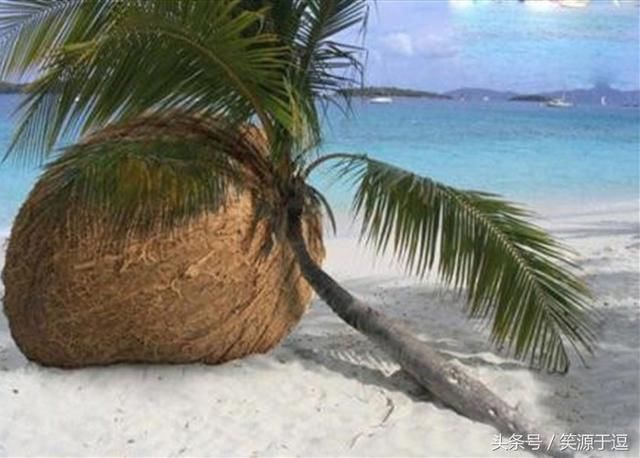 搞笑段子:收银员朝着我的方向指了指,那个小美