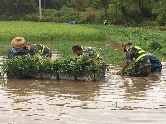 南方暴雨持续，多省农田被淹，农作物损失惨重！北方迎来大雨！