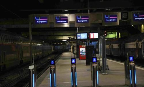 雇员是什么意思