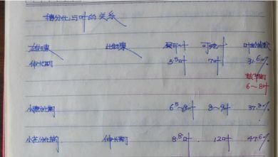 何为“二次控旺，两喷八防”？这个让玉米高高高产的技术，我用了