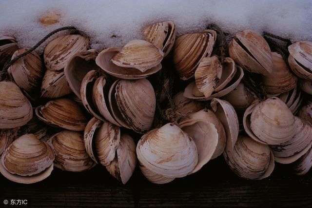 尿酸高，还不忌口3种海鲜当心痛风，饭后喝杯茶，尿酸降降降