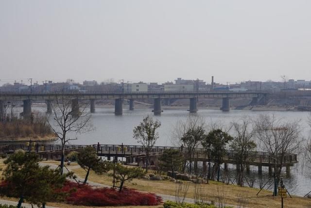 春节闲逛走拍洛阳百态之四：瀍河洛浦梅花艳，桥飞蛟龙丝路长