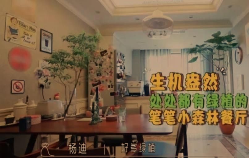 周笔畅家豪宅首次公开,坦言独居15年,独居生活惹人羡慕